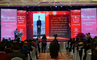 资产置换 撬动民营经济发展的新支点与商务信息咨询的价值