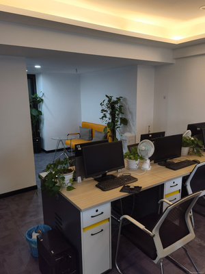 解析重庆诚益赢商务信息咨询 专业服务助力企业高效发展